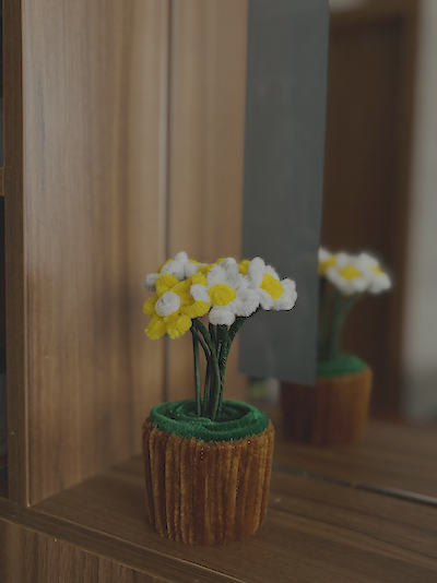 Ромашки в кашпо