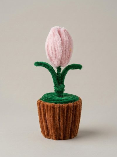 Розовый Тюльпан